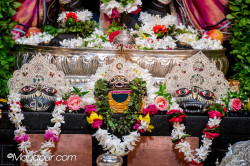 Daily Darshan