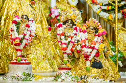 Daily Darshan