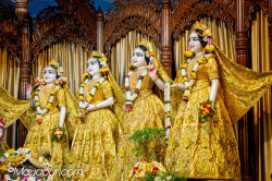 Daily Darshan