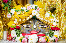 Daily Darshan
