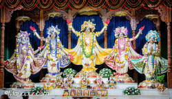 Daily Darshan