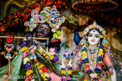 Daily Darshan