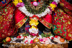 Daily Darshan