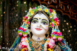 Daily Darshan