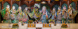 Daily Darshan
