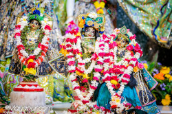 Daily Darshan
