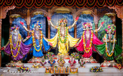 Daily Darshan