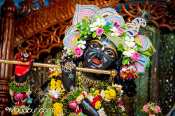 Daily Darshan