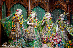 Daily Darshan