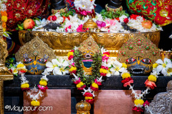 Daily Darshan