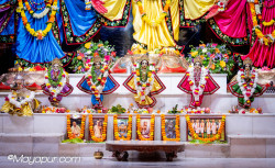 Daily Darshan