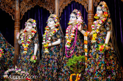 Daily Darshan
