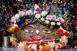Daily Darshan