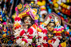 Daily Darshan