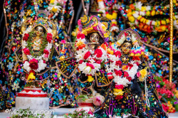 Daily Darshan