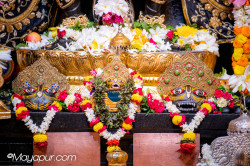 Daily Darshan