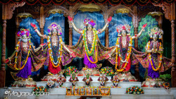 Daily Darshan