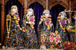 Daily Darshan
