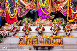 Daily Darshan