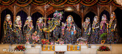 Daily Darshan