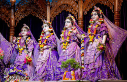 Daily Darshan