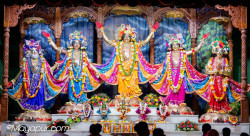 Daily Darshan