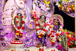 Daily Darshan