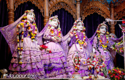 Daily Darshan