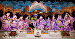 Daily Darshan