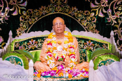 Daily Darshan