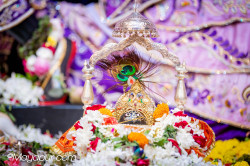 Daily Darshan