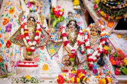 Daily Darshan