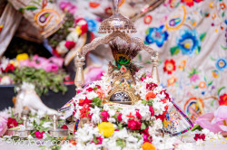 Daily Darshan