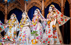 Daily Darshan