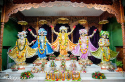 Daily Darshan