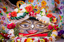 Daily Darshan