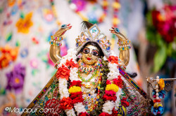 Daily Darshan