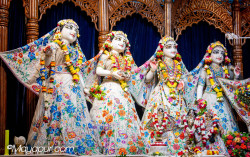 Daily Darshan