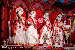Daily Darshan