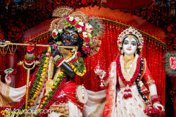 Daily Darshan