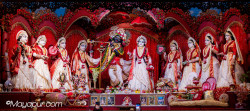 Daily Darshan