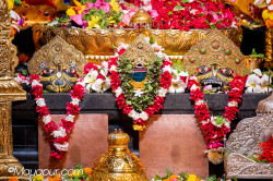 Daily Darshan