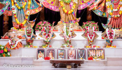 Daily Darshan