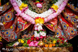 Daily Darshan