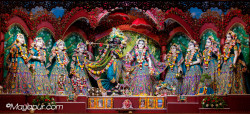Daily Darshan