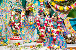 Daily Darshan