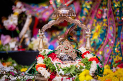Daily Darshan