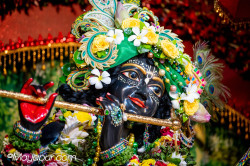 Daily Darshan