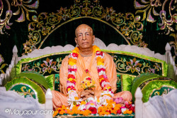 Daily Darshan