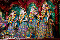 Daily Darshan